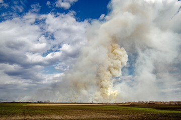 Fototapeta na wymiar Wildfire. smoke from the fire. disaster. puffs of smoke in the field. Spring fire dry grass