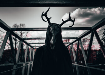 the creature