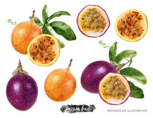 Passion fruit with leaves and flower watercolor illustration isolated on white background