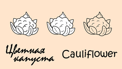 A set of three cauliflower objects with the inscription 