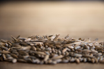 Close up of winter rye and oat seeds on wooden table