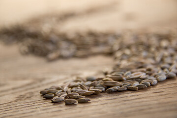 Close up of winter rye and oat seeds on wooden table