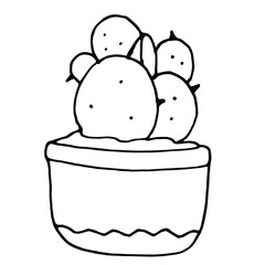 Hand drawn doodle kakti.Vector doodle illustration