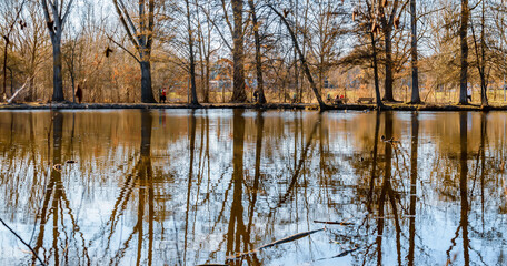 reflection of trees in the water