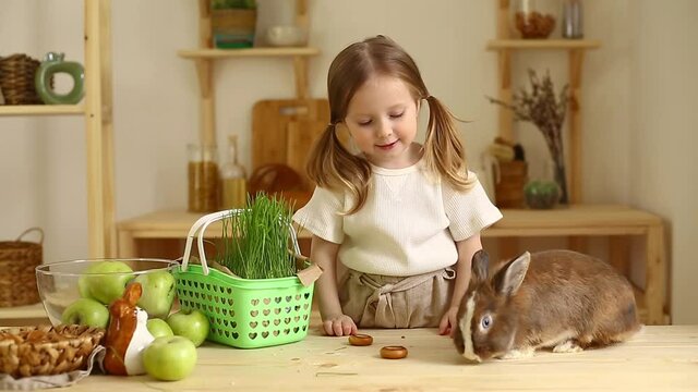 Cute little girl at home in the kitchen feeds the rabbit fresh grass