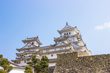 Himeji castle during sakura blossom time are going to bloom in Hyogo prefecture, Japan