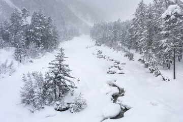 A narrow mountain river flows through a winter valley through a snow-covered pine forest. High caps of snow lie on stones. The snow-covered mountain slope is visible in a mist. No people