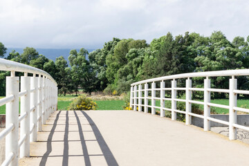 Fototapeta na wymiar puente paisaje arboles nubes