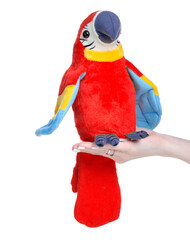Soft toy parrot in hand on white background isolation © Kabardins photo