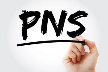 PNS - Peripheral Nervous System acronym with marker, medical concept background