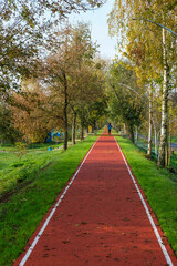 Running path in a public park. Vertical image.