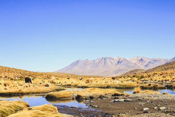 Atacama Desert landscapes, Chile and Bolivia