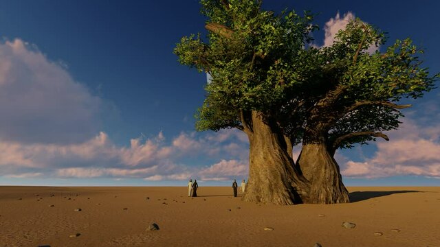 2 Arabian couple walking in the desert close to Baobab tree