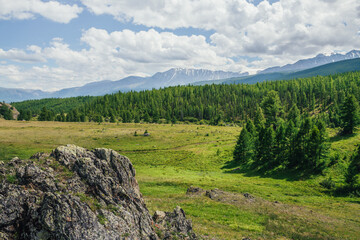 Scenic alpine landscape with green mountain valley with dirt road and forest on hill on background...