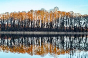 autumn trees reflected in water