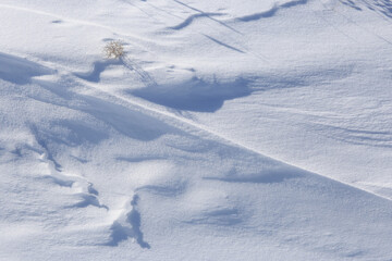 texture of cold winter snow