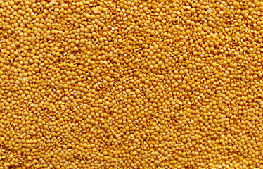 Dried yellow Split Lentils background. Nutritious and Important Protein Source.  Flat lay, texture