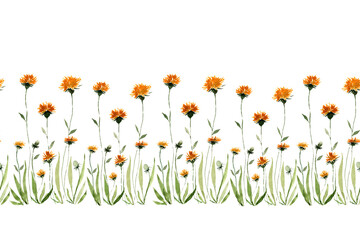 Seamless ribbon border of flowers and dandelion buds in watercolor on a white background. Design for fabric, packaging, frame, adhesive tape, paper