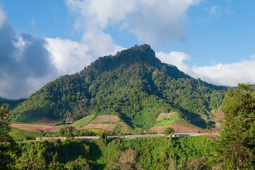 This image shows a view of Cerro Punta in the Chiriqui province of western Panama. This region is...