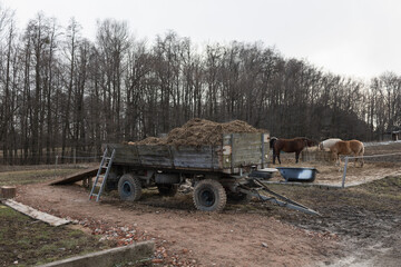 Obraz premium Fodder and stover - truck and wagon with feed for horses - authentic agriculture and farming on the farm. Bare trees in the winter.