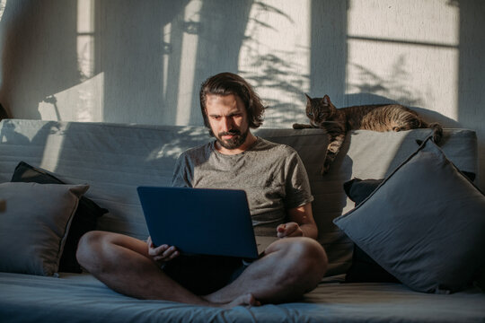 The cat lies on the couch, a man works on a laptop - Powered by Adobe