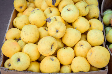 Juicy yellow apples in a box. The apples are sold at the market.