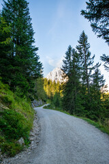 Fototapeta na wymiar road in mountains (Ehrwald, Tyrol, Austria)