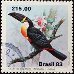 Kanaalgefactureerde toekan op Braziliaanse postzegel