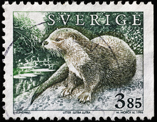Eurasian otter on swedish postage stamp