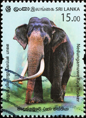 Huge asian elephant on postage stamp from Sri Lanka