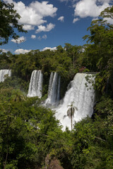 Obraz premium The Iguazu waterfalls in the frontier between Argentina and brazil. View of the falls in the tropical jungle. The falling white water and vegetation foliage.
