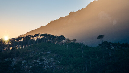 Sunset in the mountains among the green trees