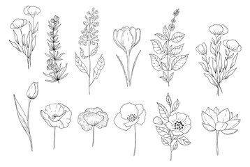 Botanical set of black and white graphic flowers. Floral elements for creating logos and wedding decorations.