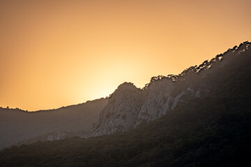Sunset in the mountains among the green trees