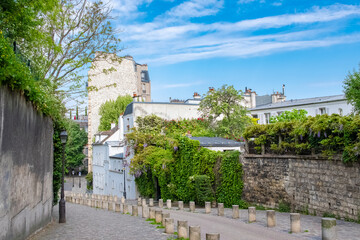 Obraz premium Paris, typical cobblestone street of Montmartre, a house with a beautiful garden