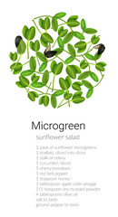Young microgreen sprouts, sunflower microgreen salad, circle, healthy salad recipe card, menu, young green leaves, healthy lifestyle concept, vegan food Realistic illustration hand on white background