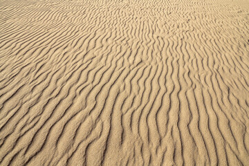 wavy sandy beach texture, summer travel background
