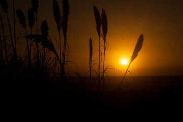 Amanecer