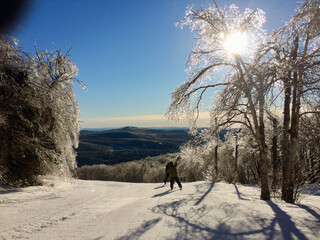 Crispy morning skiing with ice encrusted trees with the sun shining through. 