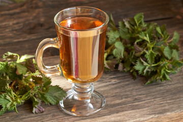 A cup of nettle tea with fresh young nettles