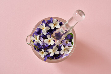 Spring concept - white and purple English violet flowers in a glass mortar on a pastel pink...