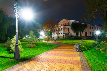 Naklejka premium autumn city park at night, trees with yellow leaves, street lights and benches
