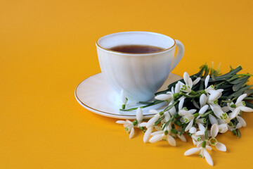White tea cup with tea on a saucer, a bouquet of snowdrops on a yellow background, a place for text, close-up