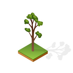 Set of various type wood isolated on white background. Green plant for isometric landscape public park or garden. Landscape constructor element. Vector icon for infographics or game