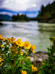 lake in the mountains