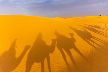 Fototapeta na wymiar Shadow of camels riding in the Sahara Desert, Merzouga, Morocco