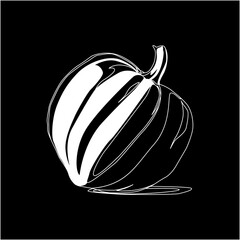 cucurbita white on black background