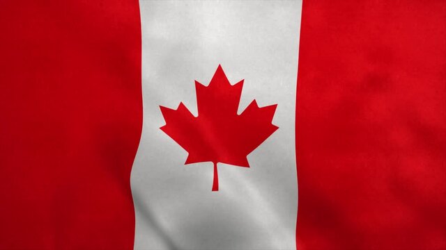 National flag of Canada blowing in the wind. Seamless loop