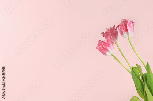 Spring or summer flower composition, still life, banner, minimal holiday concept. Greeting card for mother's day, women's day, valentine's day, happy birthday, wedding, selective focus,
