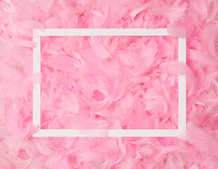 A rectangle white frame with a copy space of pink feathers in background. Arrangment flat lay.
